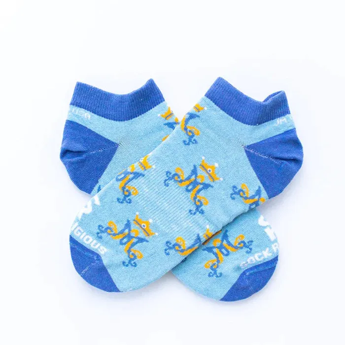 3 Month Pre-paid Sock Subscription